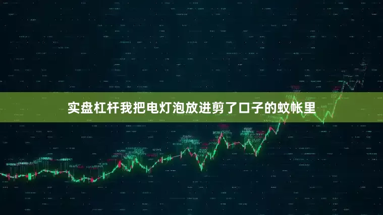 实盘杠杆我把电灯泡放进剪了口子的蚊帐里