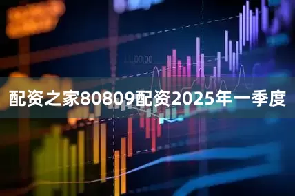 配资之家80809配资　　2025年一季度